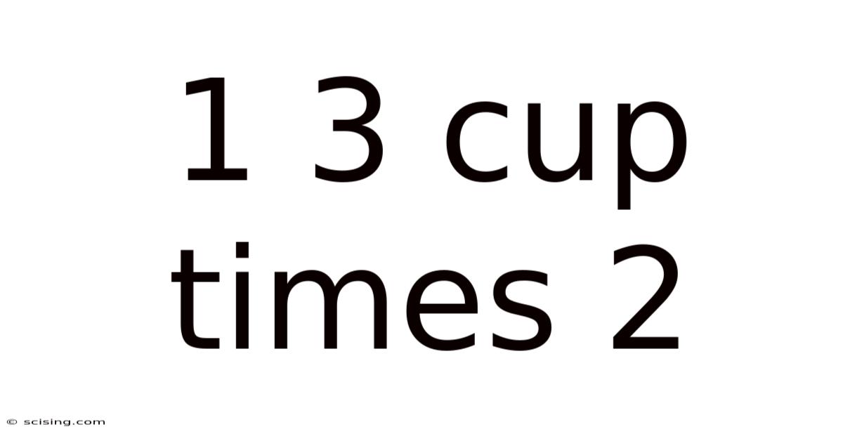 1 3 Cup Times 2