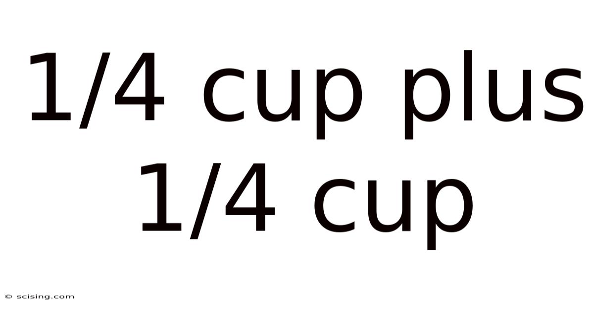 1/4 Cup Plus 1/4 Cup
