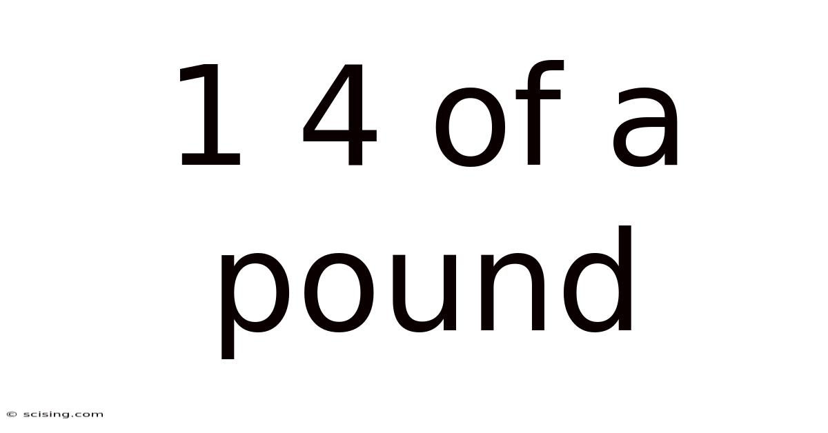 1 4 Of A Pound