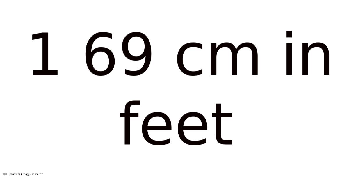 1 69 Cm In Feet