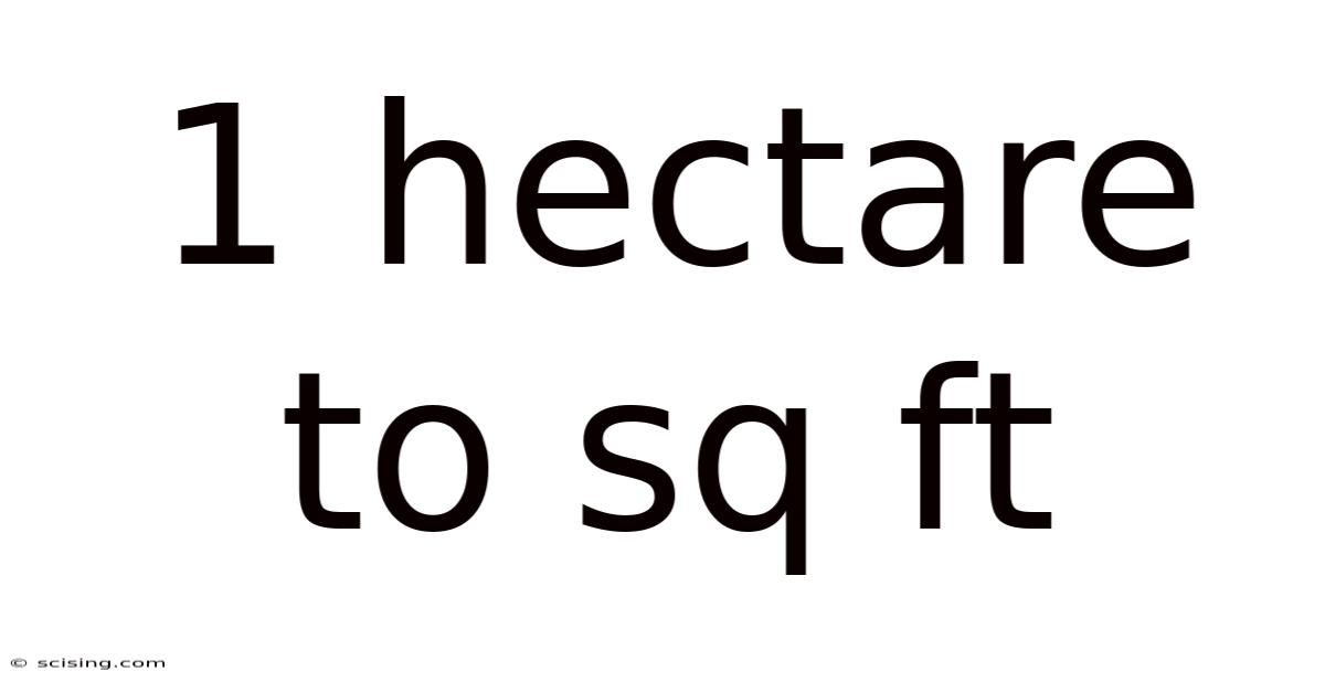 1 Hectare To Sq Ft