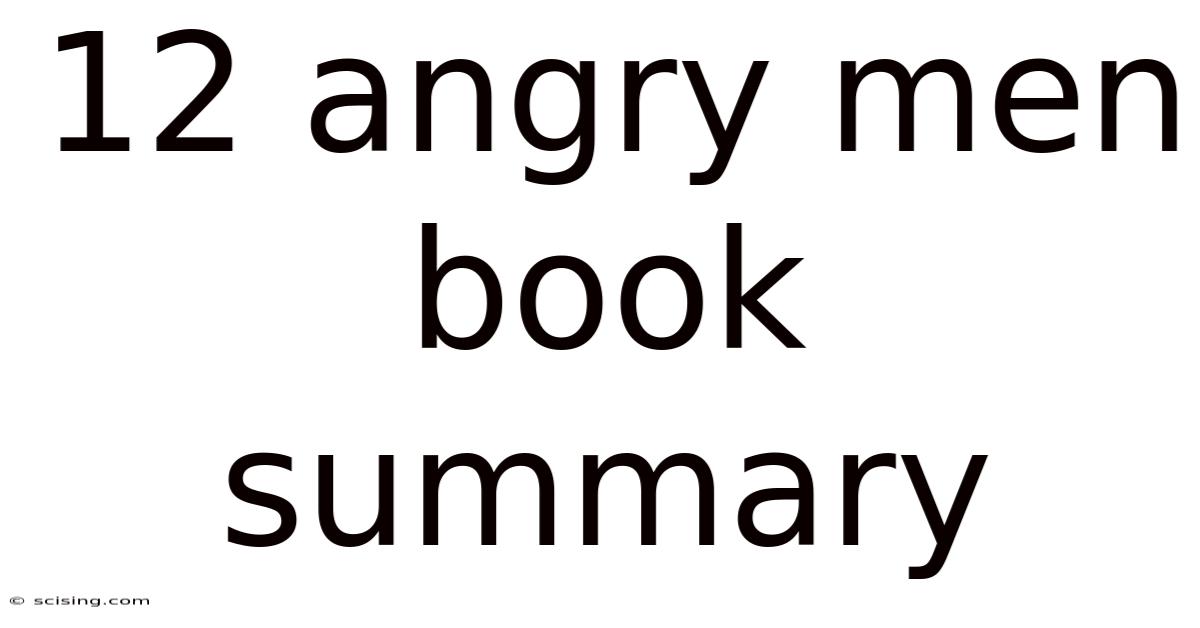 12 Angry Men Book Summary