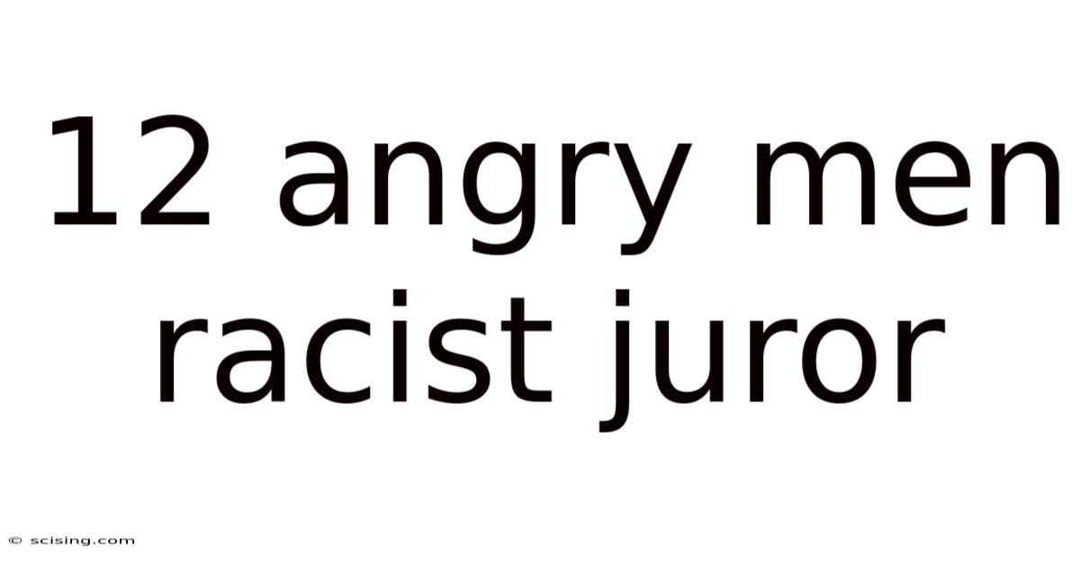 12 Angry Men Racist Juror