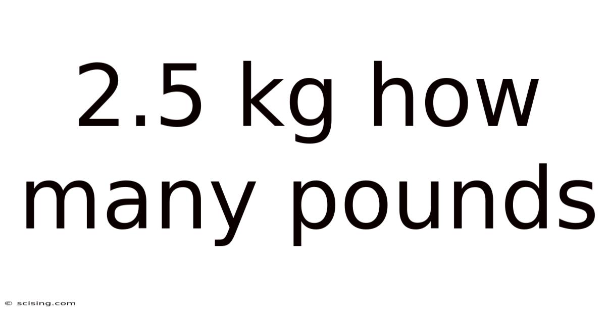 2.5 Kg How Many Pounds