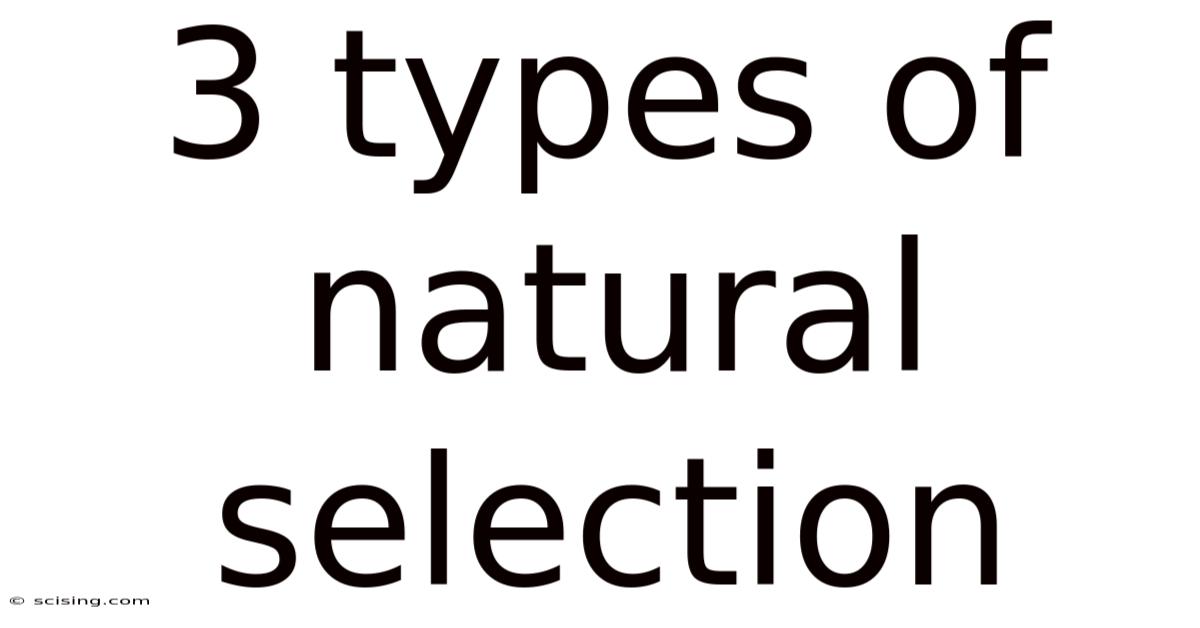 3 Types Of Natural Selection