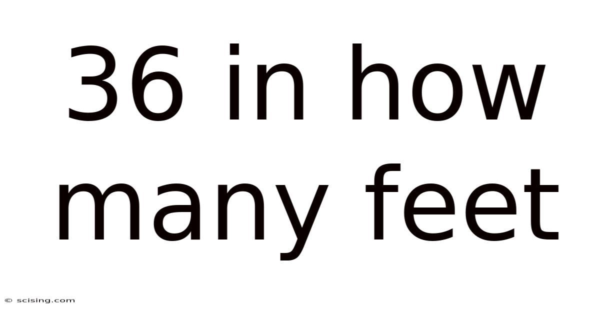 36 In How Many Feet