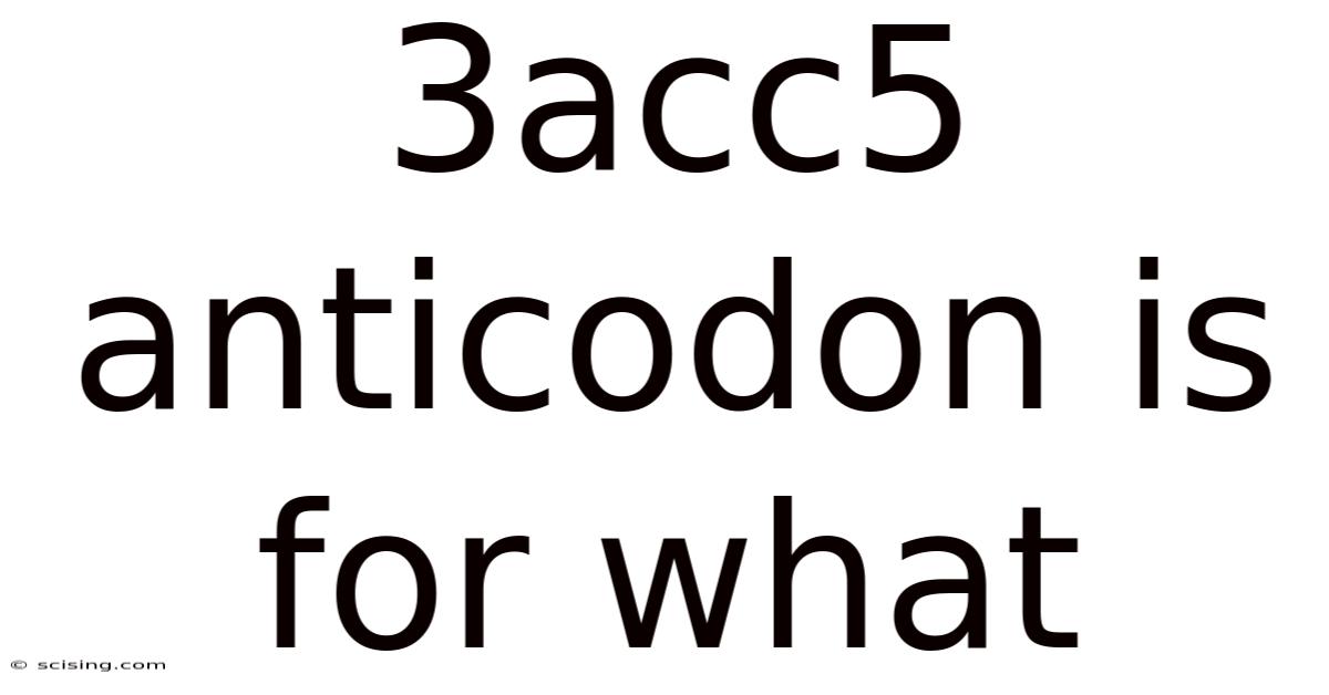 3acc5 Anticodon Is For What