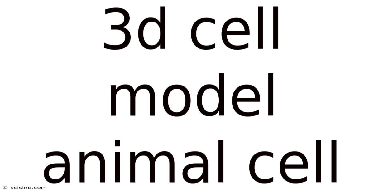 3d Cell Model Animal Cell