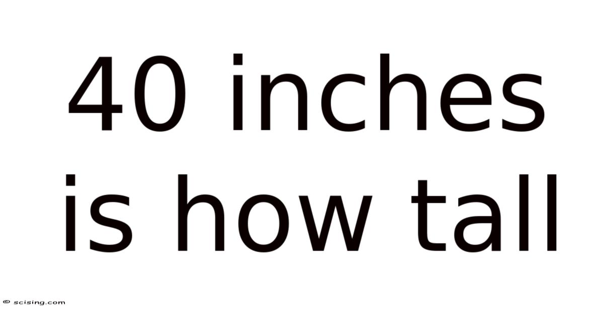 40 Inches Is How Tall
