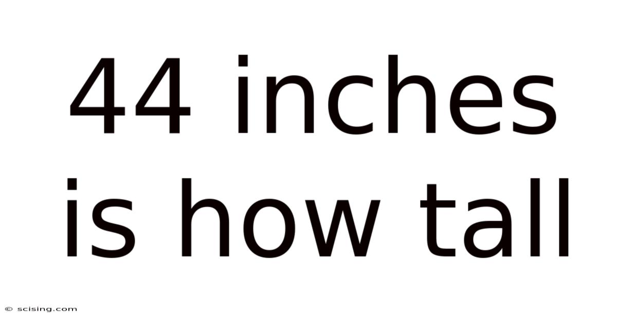 44 Inches Is How Tall