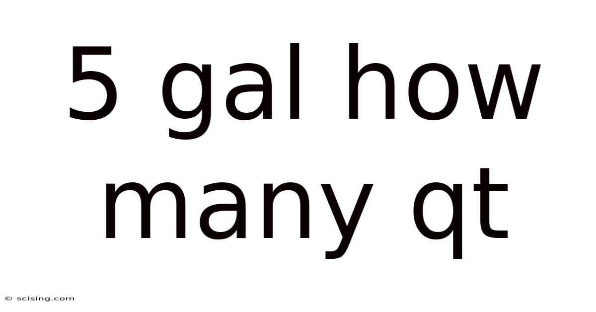 5 Gal How Many Qt