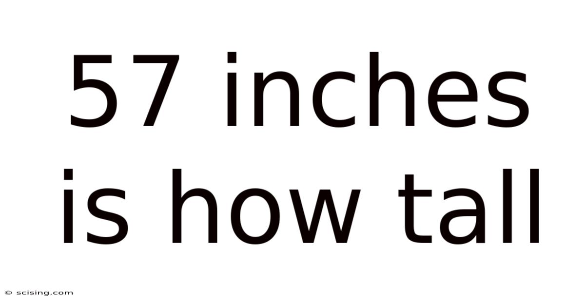 57 Inches Is How Tall