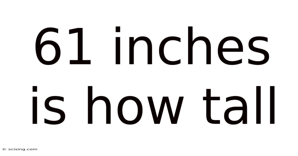 61 Inches Is How Tall