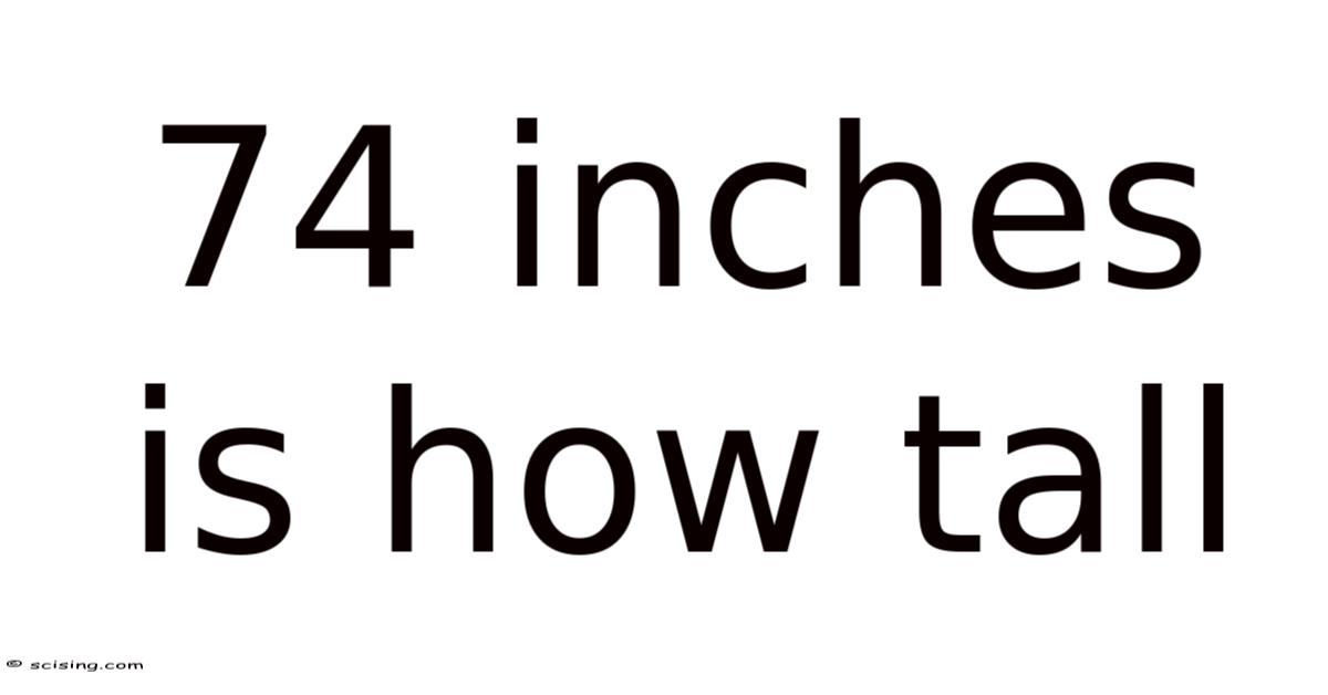 74 Inches Is How Tall