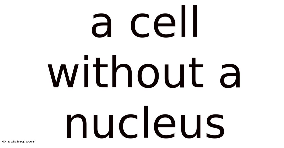 A Cell Without A Nucleus