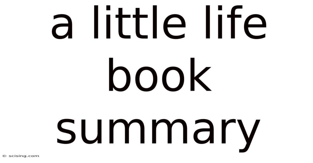 A Little Life Book Summary