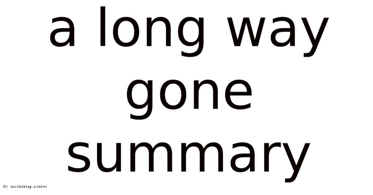 A Long Way Gone Summary