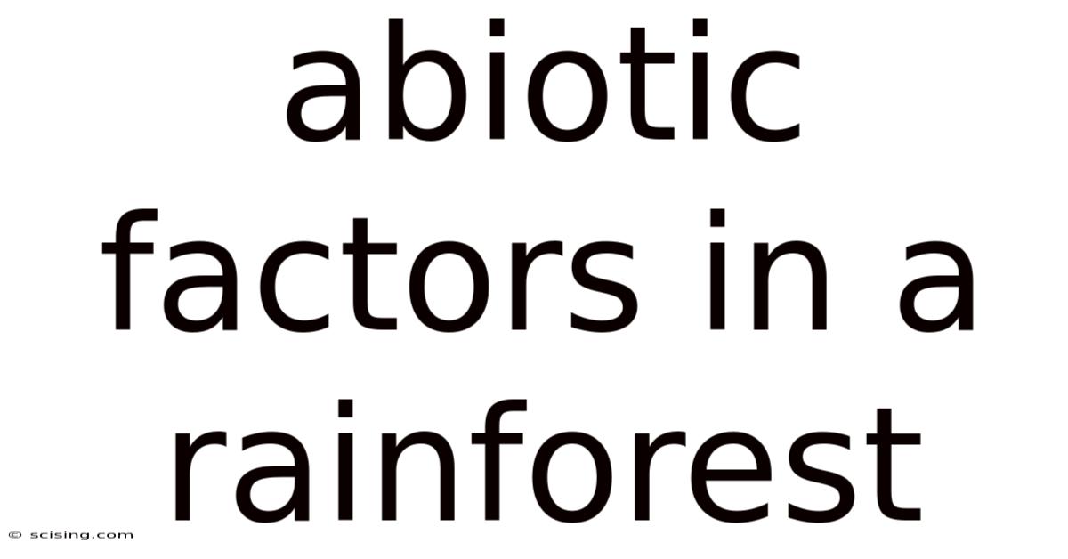 Abiotic Factors In A Rainforest