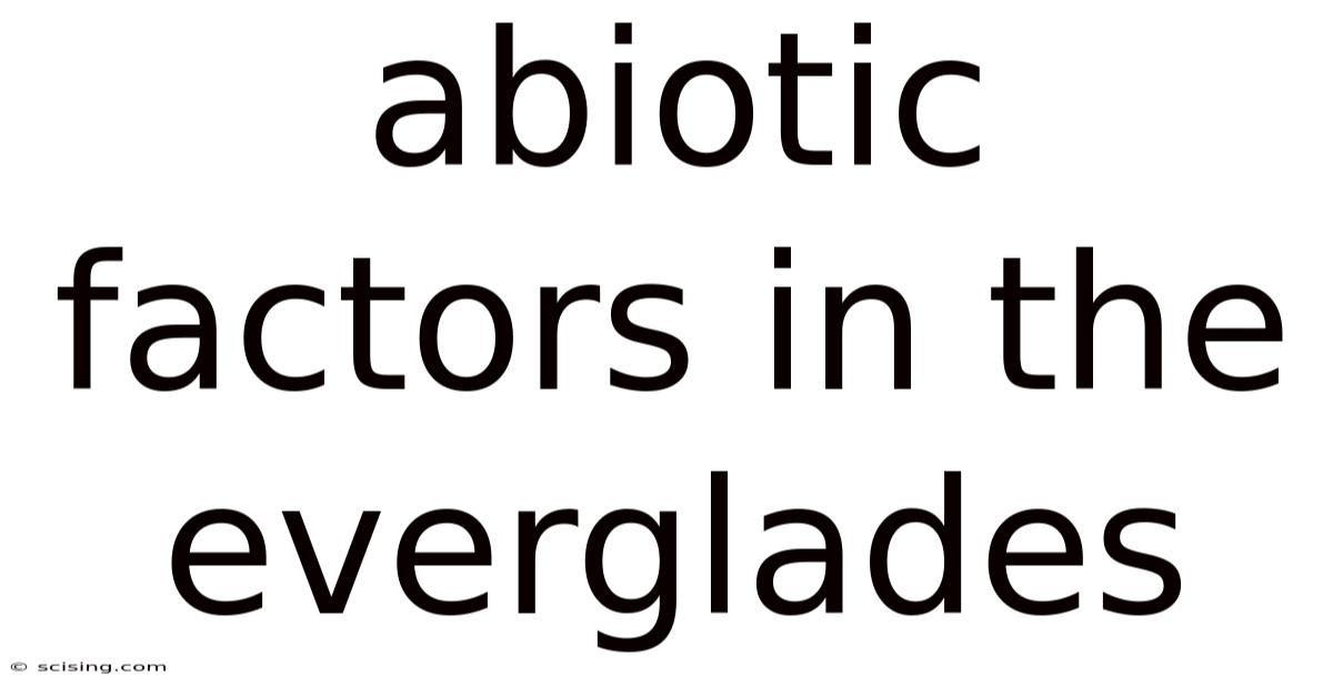 Abiotic Factors In The Everglades