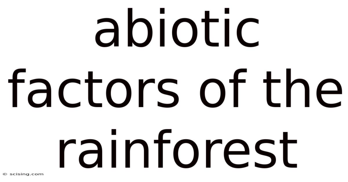 Abiotic Factors Of The Rainforest