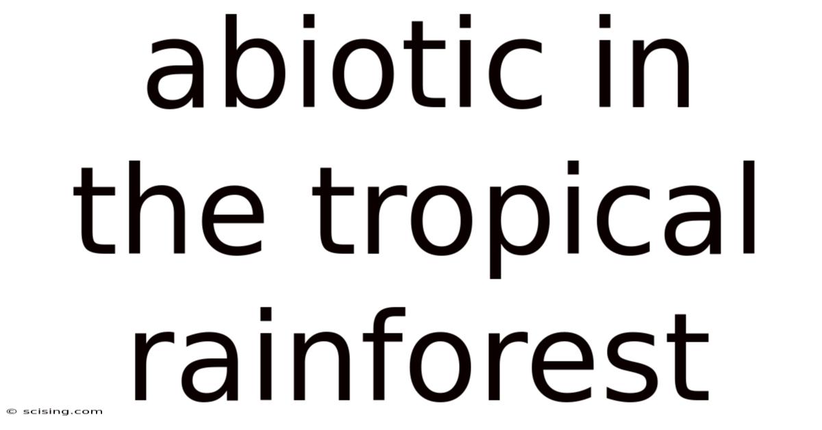 Abiotic In The Tropical Rainforest