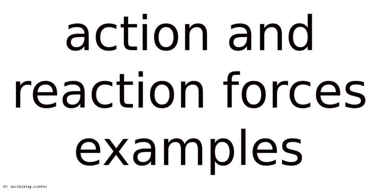 Action And Reaction Forces Examples