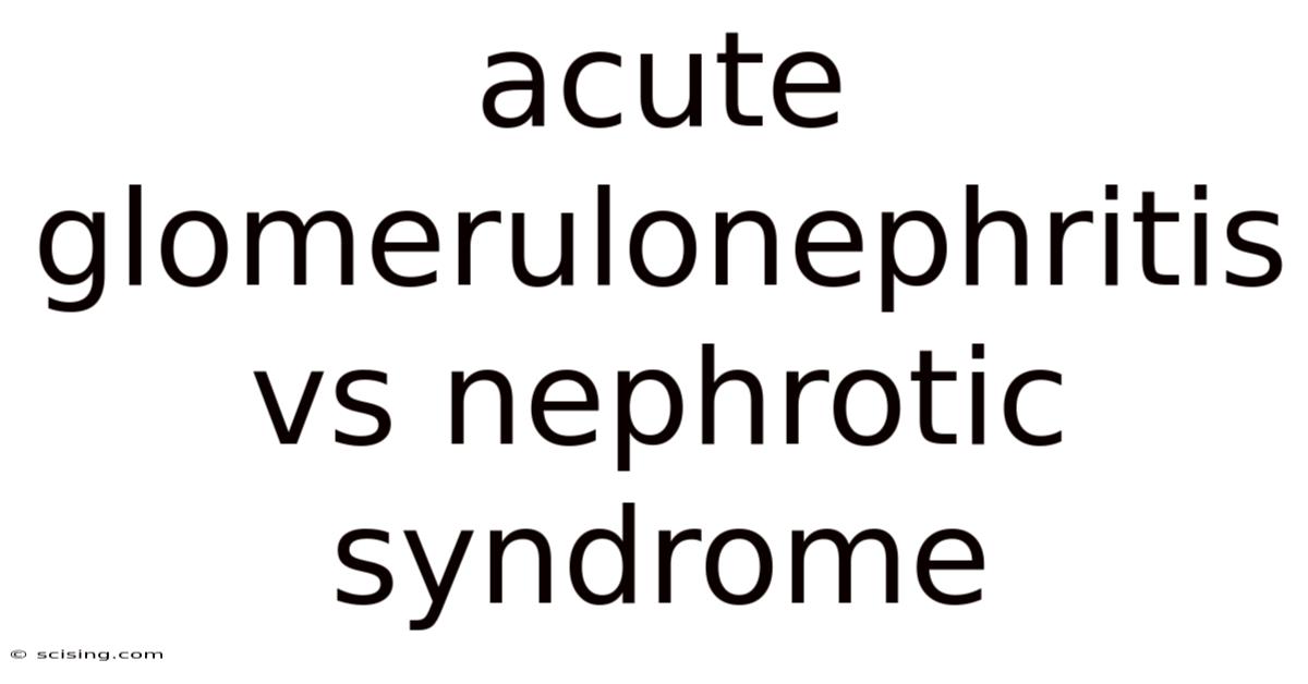 Acute Glomerulonephritis Vs Nephrotic Syndrome