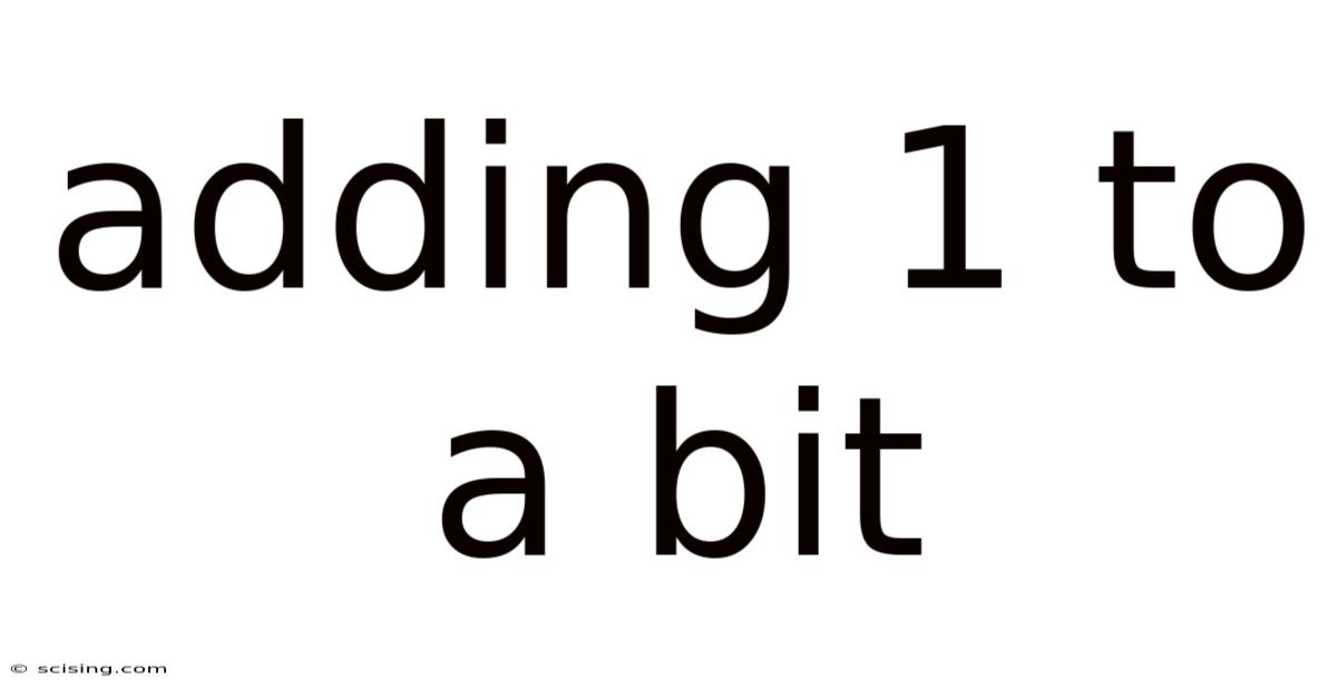 Adding 1 To A Bit