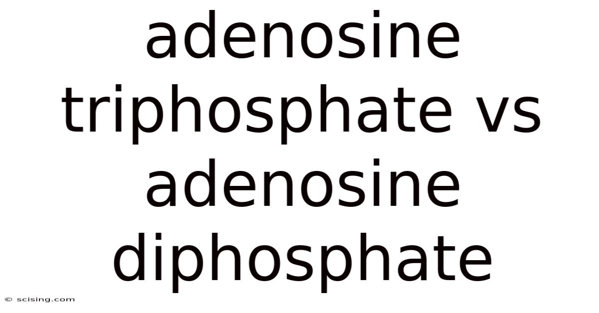 Adenosine Triphosphate Vs Adenosine Diphosphate