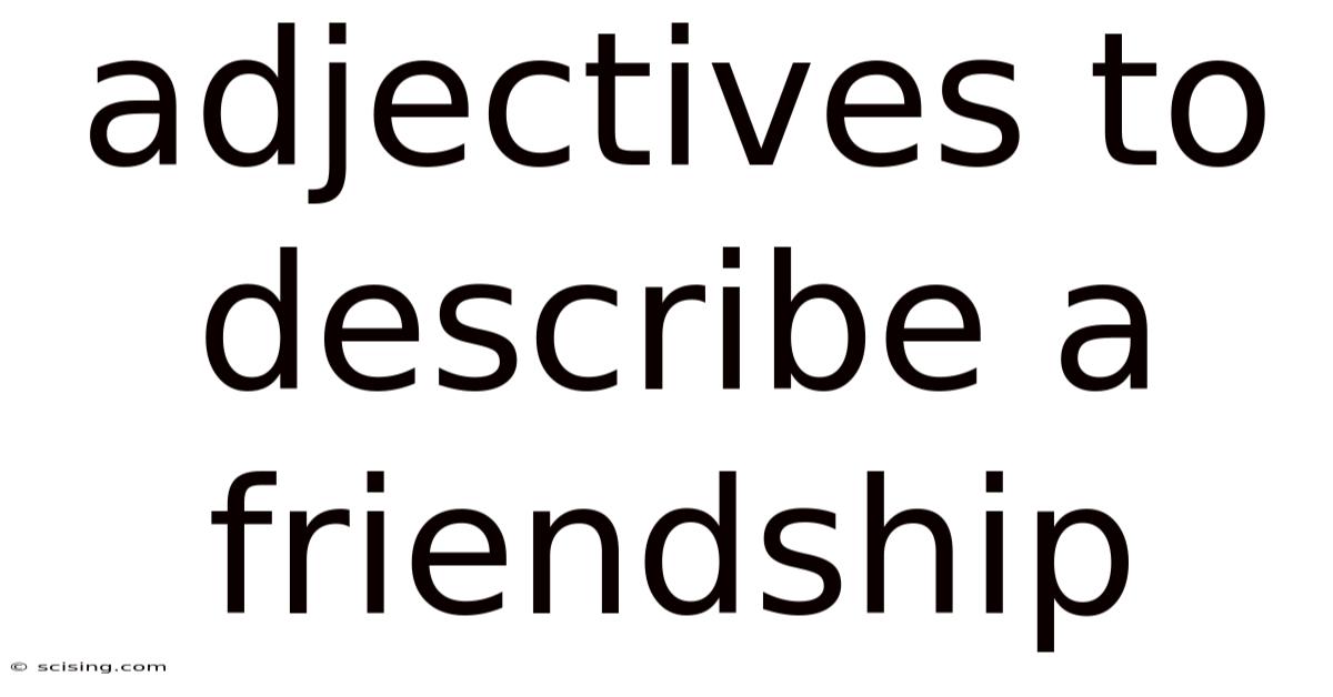 Adjectives To Describe A Friendship