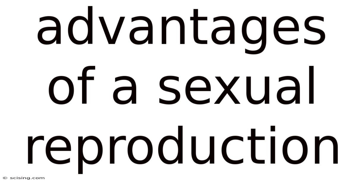 Advantages Of A Sexual Reproduction