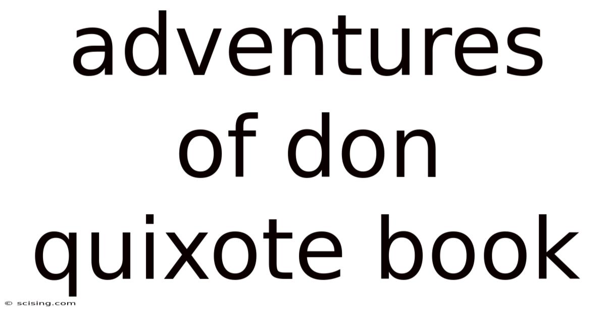 Adventures Of Don Quixote Book