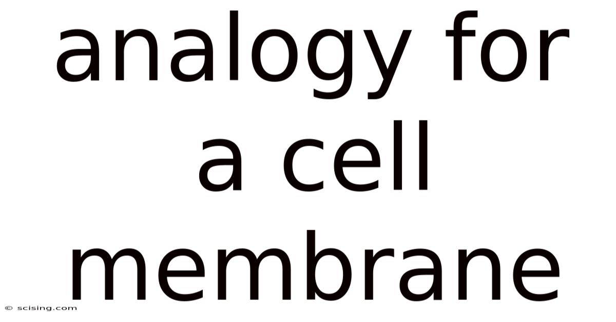 Analogy For A Cell Membrane