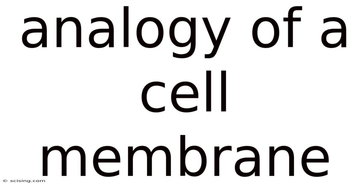 Analogy Of A Cell Membrane