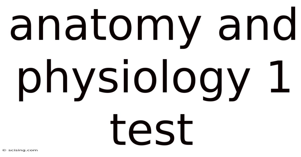 Anatomy And Physiology 1 Test
