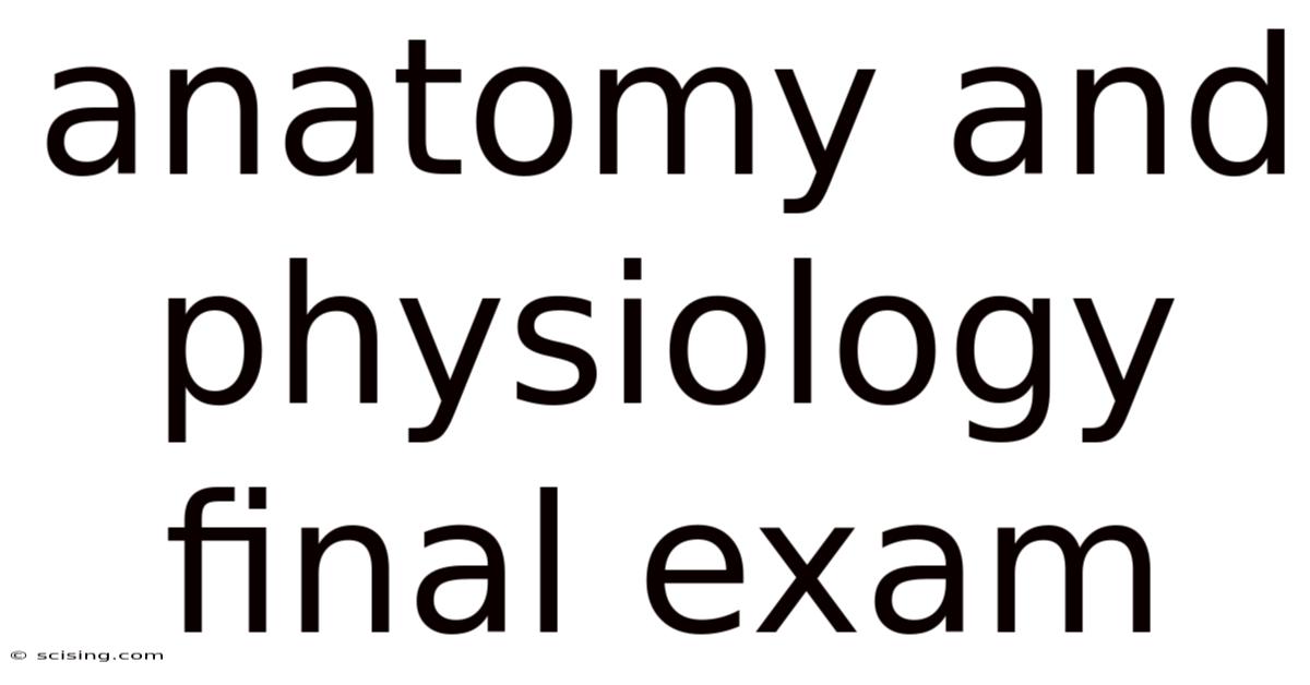 Anatomy And Physiology Final Exam