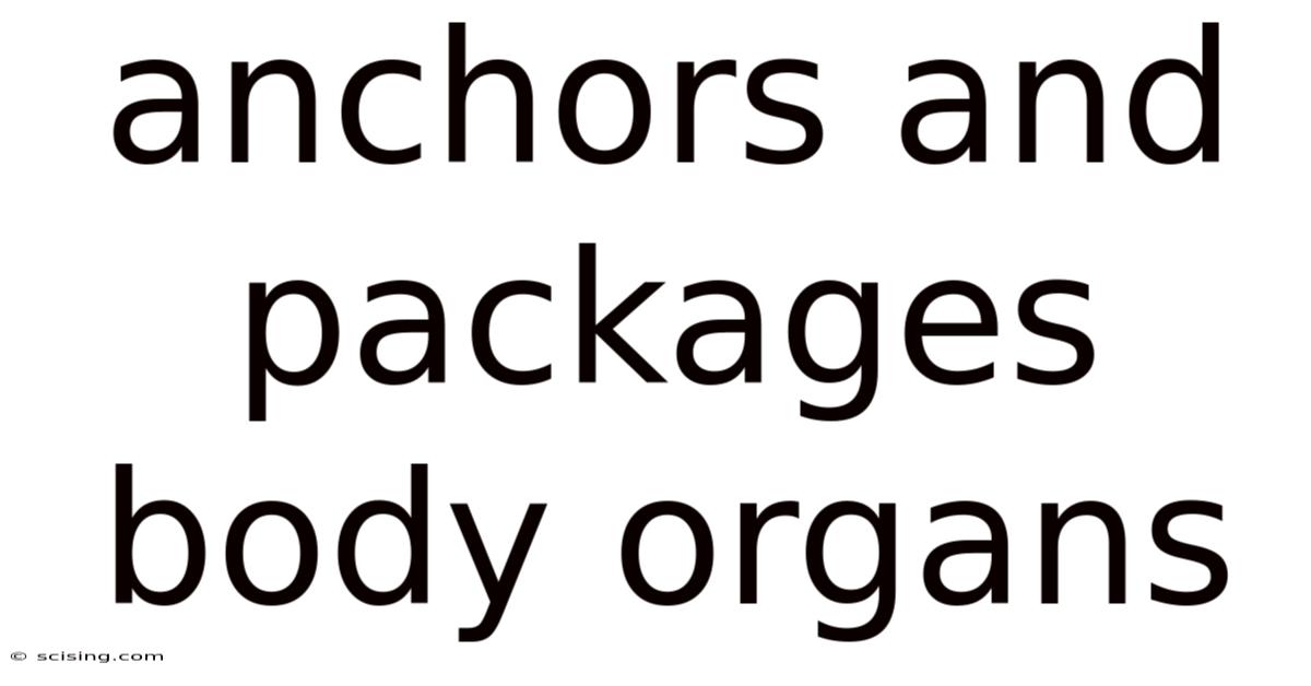 Anchors And Packages Body Organs