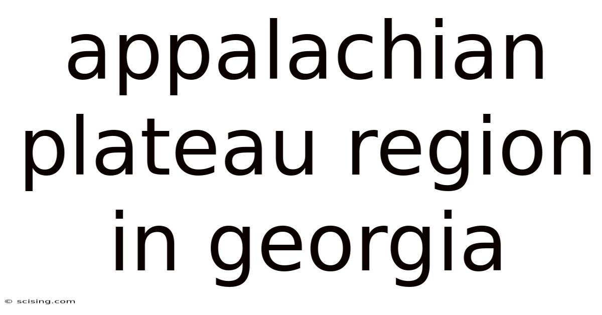 Appalachian Plateau Region In Georgia