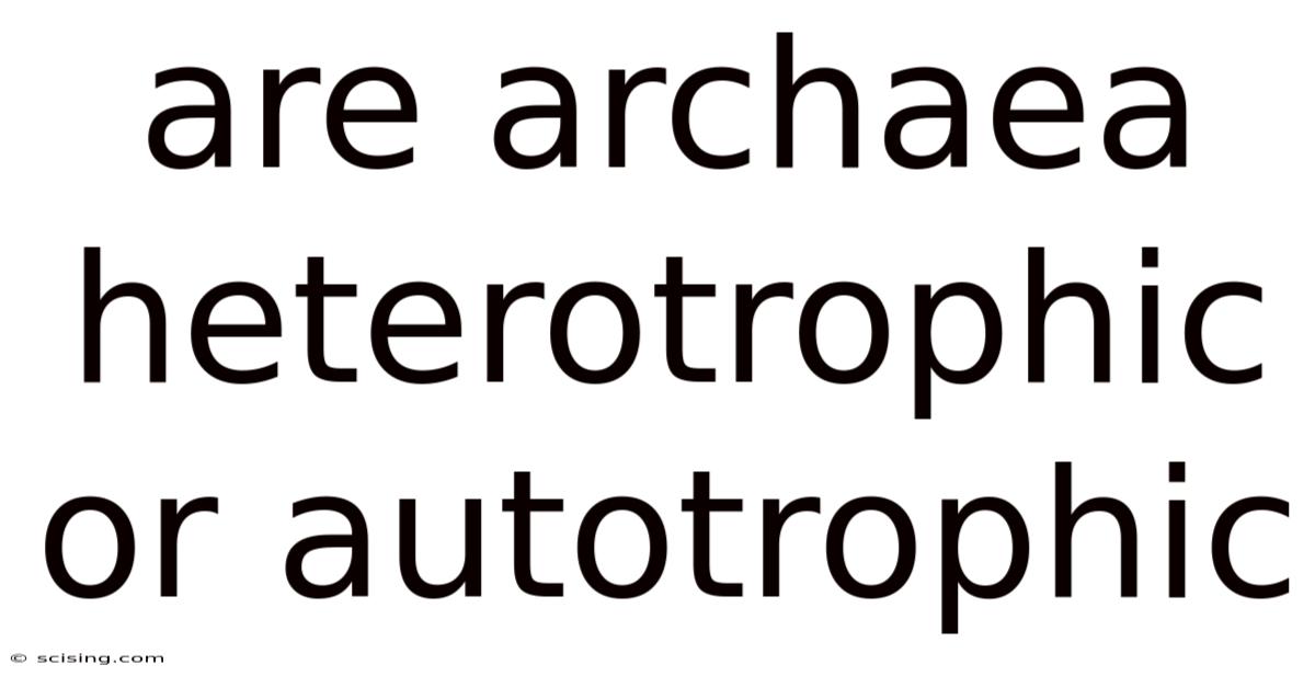 Are Archaea Heterotrophic Or Autotrophic