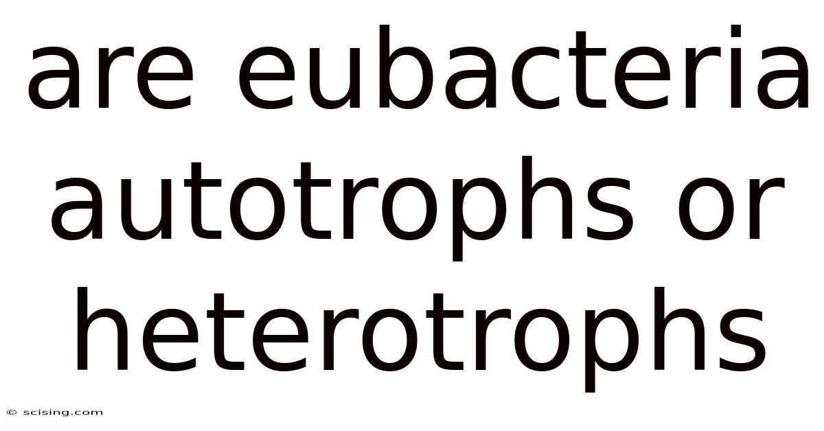 Are Eubacteria Autotrophs Or Heterotrophs