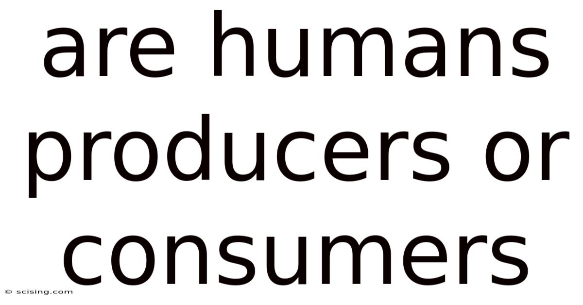 Are Humans Producers Or Consumers