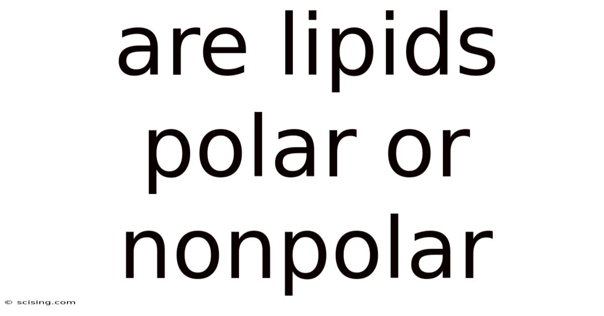 Are Lipids Polar Or Nonpolar
