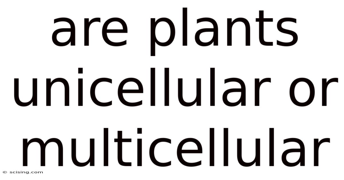 Are Plants Unicellular Or Multicellular