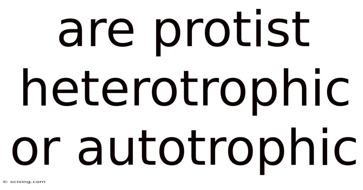 Are Protist Heterotrophic Or Autotrophic