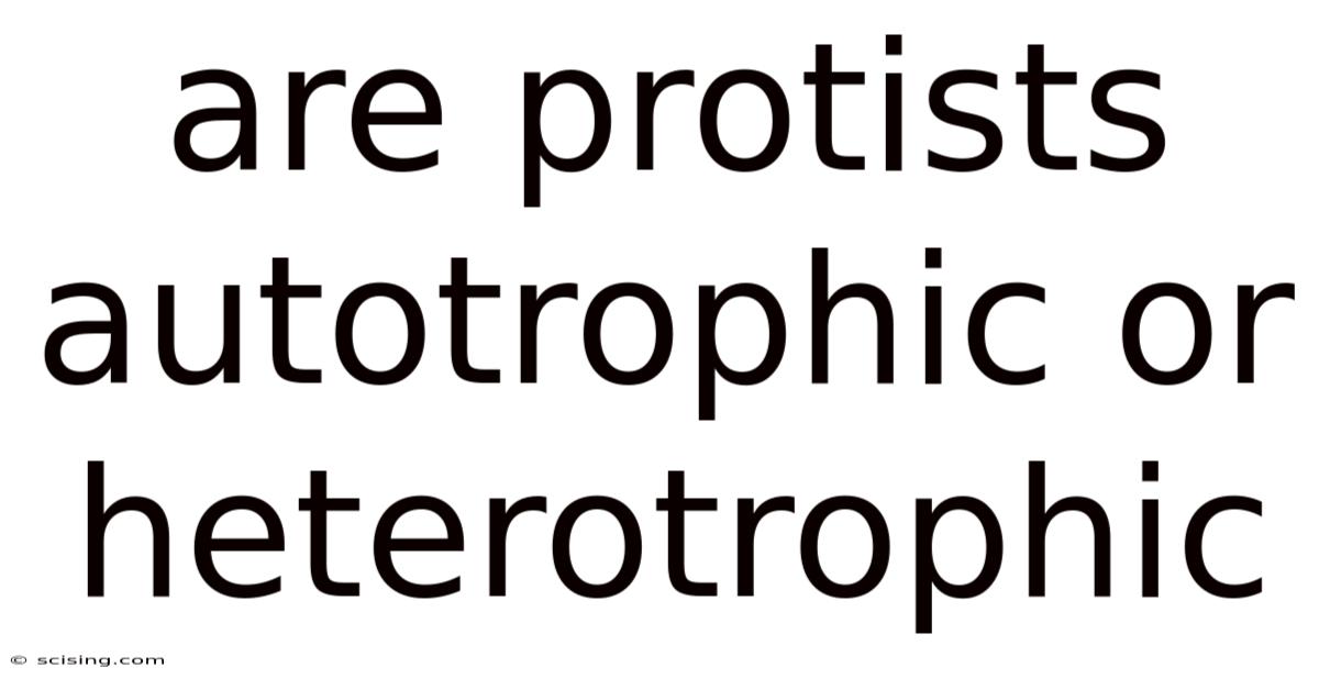 Are Protists Autotrophic Or Heterotrophic