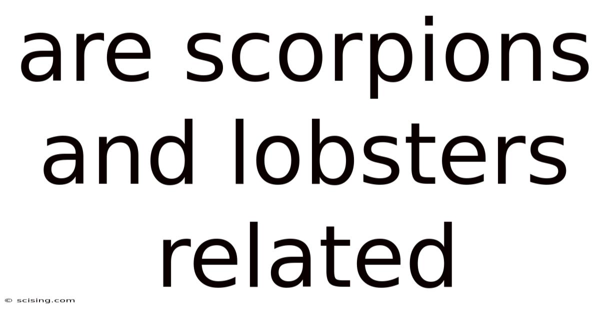 Are Scorpions And Lobsters Related