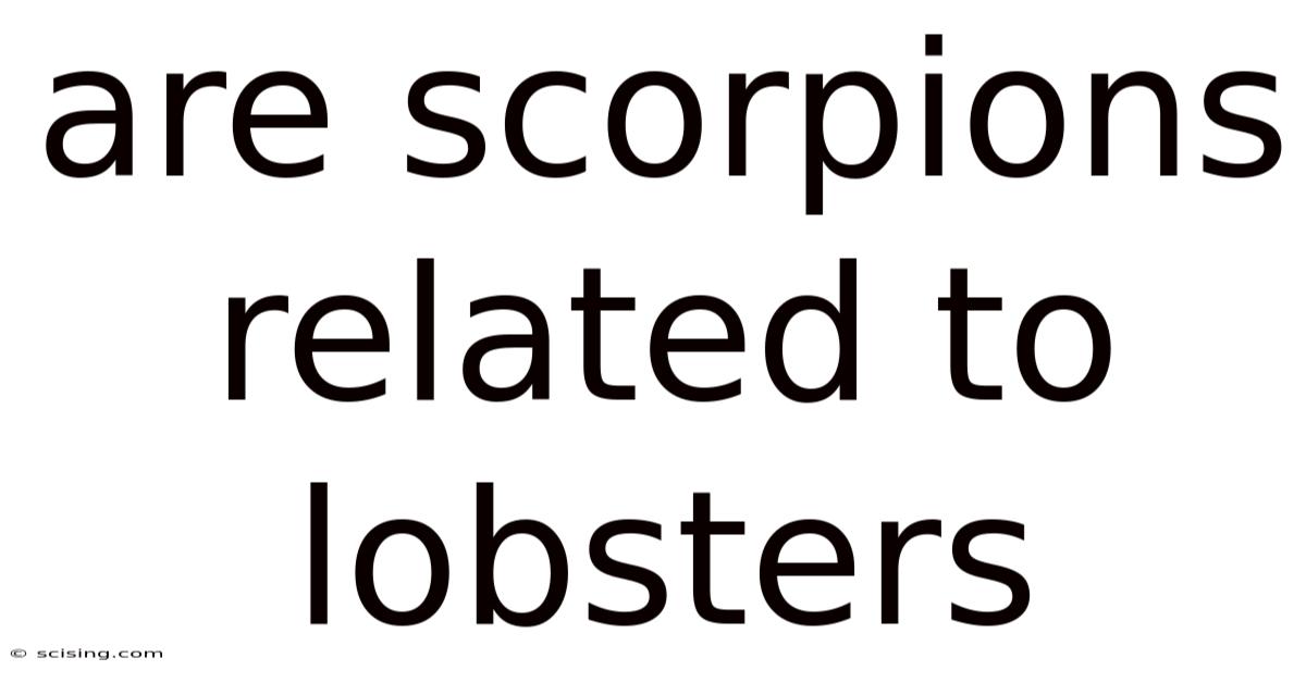 Are Scorpions Related To Lobsters