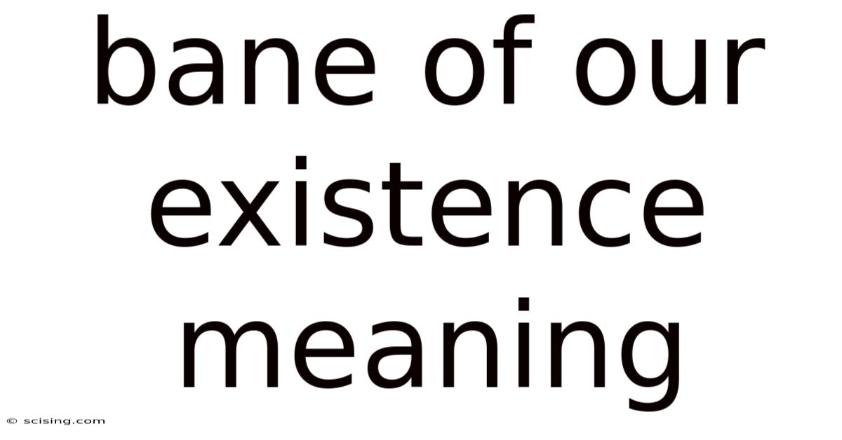 Bane Of Our Existence Meaning