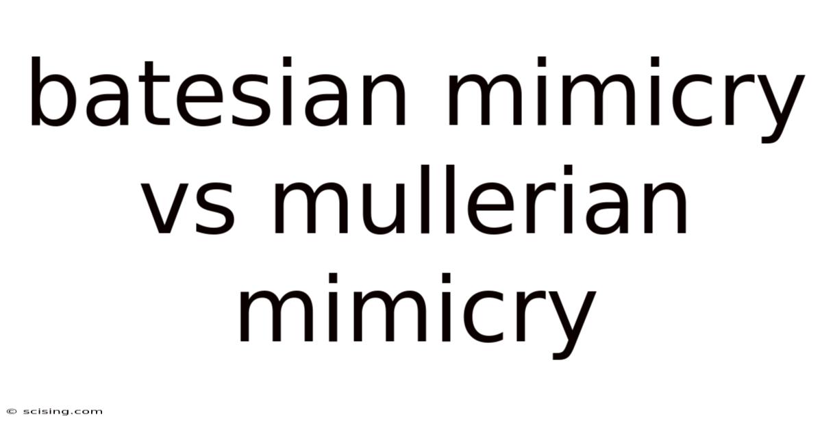Batesian Mimicry Vs Mullerian Mimicry