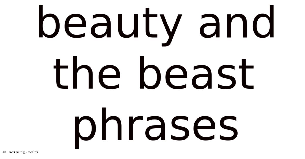 Beauty And The Beast Phrases